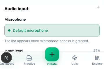 The audio input panel with the microphone picker and the input level meter